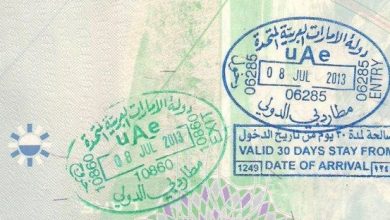 uae visa new