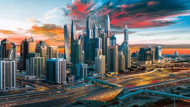 uae dubai landscape